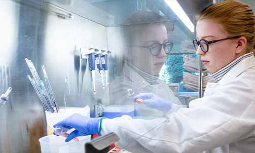 Investigating the chronic and infectious diseases