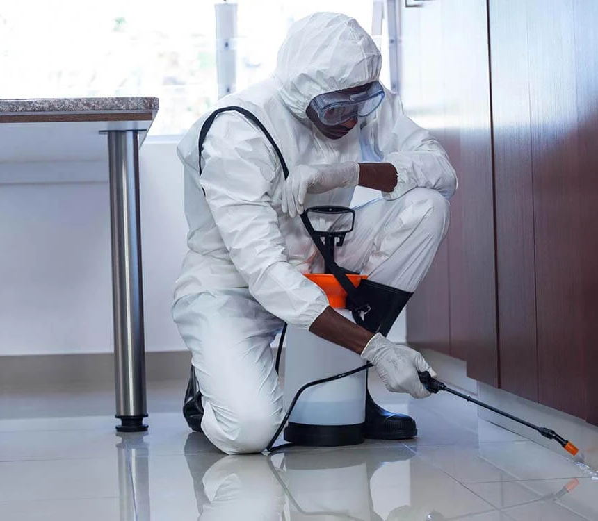 سم‌پاشی و ضدعفونی محیط