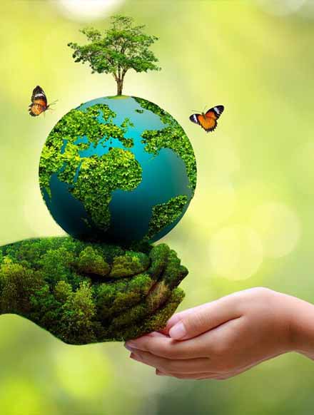 Environmental Health 01