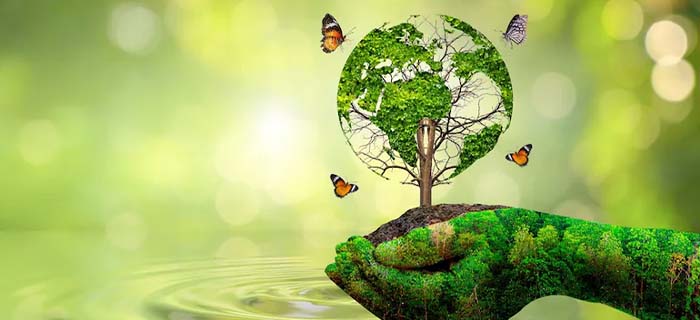 Environmental Health 03