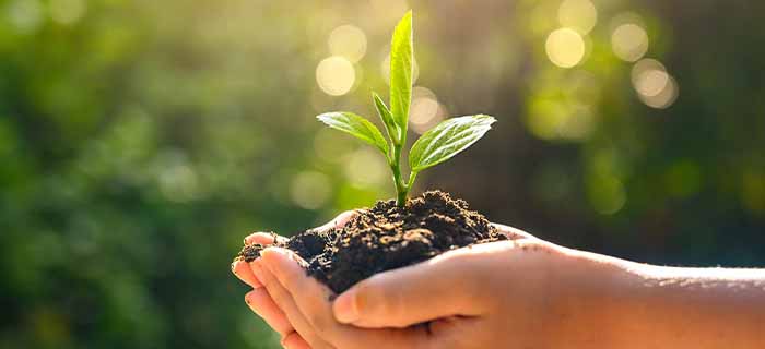 Environmental Health 04