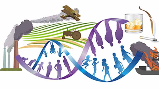 عوامل زیستی و بیولوژیک در محیط کار