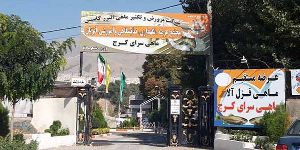 ماهی سرای کرج